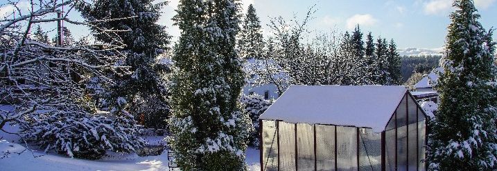 Garten mit Gartenhäuschen im Schnee